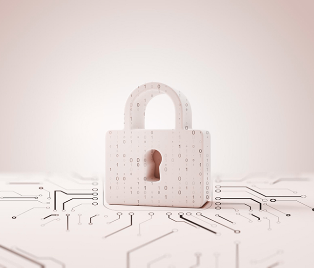 Security & Privacy